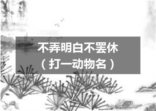 不弄明白不罢休（打一动物名）