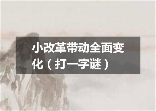 小改革带动全面变化（打一字谜）