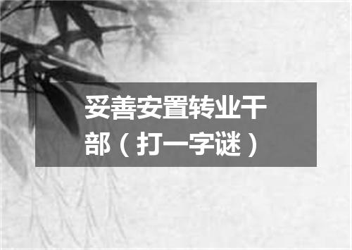 妥善安置转业干部（打一字谜）