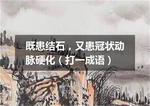 既患结石，又患冠状动脉硬化（打一成语）