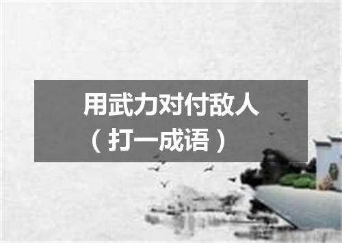 用武力对付敌人（打一成语）