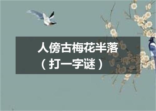 人傍古梅花半落（打一字谜）