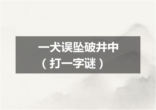 一犬误坠破井中（打一字谜）