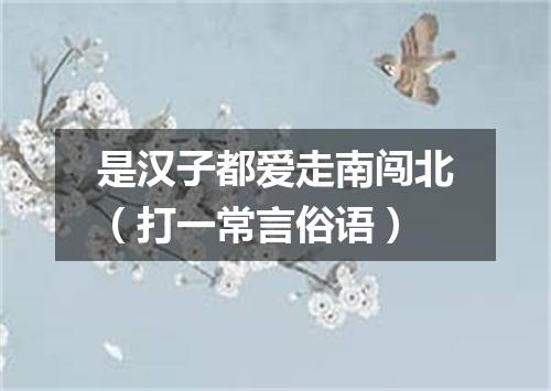 是汉子都爱走南闯北（打一常言俗语）