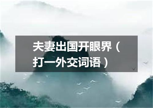 夫妻出国开眼界（打一外交词语）