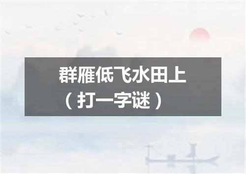 群雁低飞水田上（打一字谜）
