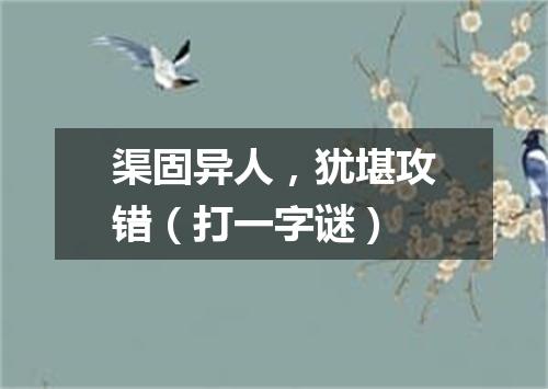 渠固异人，犹堪攻错（打一字谜）