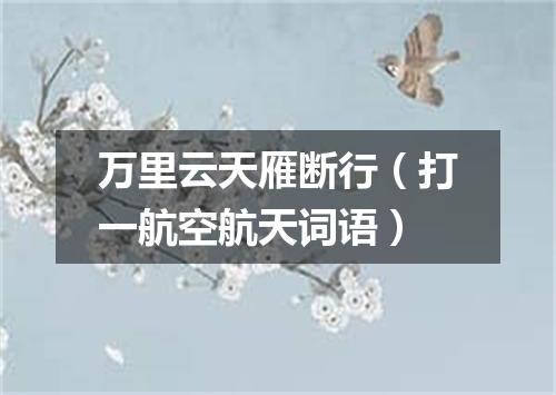 万里云天雁断行（打一航空航天词语）