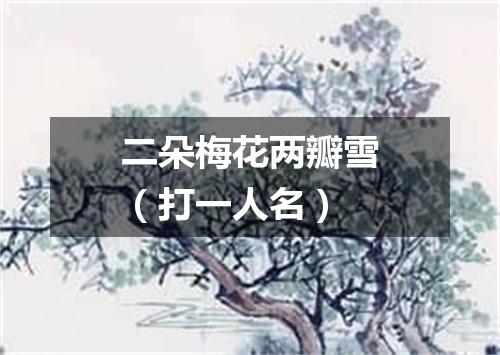 二朵梅花两瓣雪（打一人名）