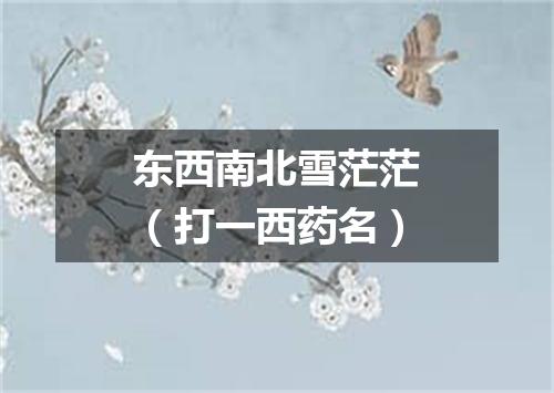 东西南北雪茫茫（打一西药名）
