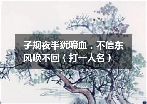 子规夜半犹啼血，不信东风唤不回（打一人名）