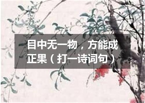 目中无一物，方能成正果（打一诗词句）