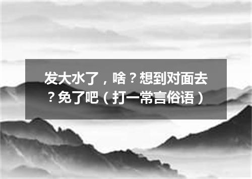 发大水了，啥？想到对面去？免了吧（打一常言俗语）