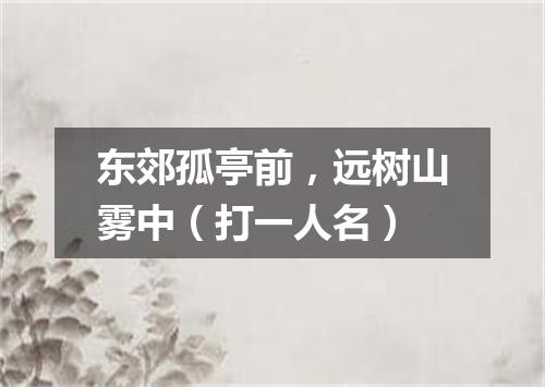 东郊孤亭前，远树山雾中（打一人名）