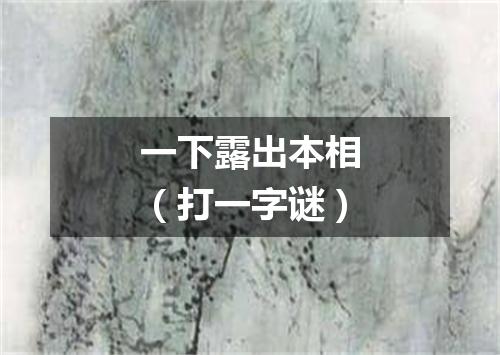 一下露出本相（打一字谜）