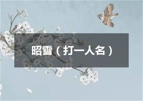 昭雪（打一人名）