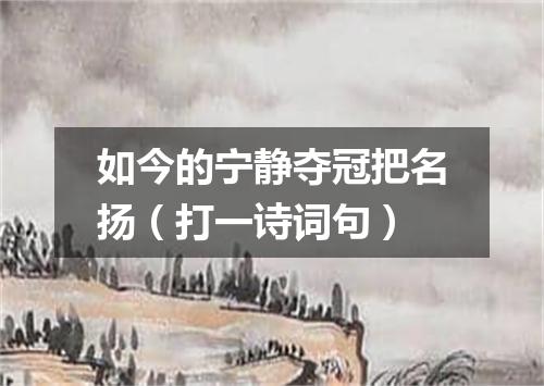如今的宁静夺冠把名扬（打一诗词句）