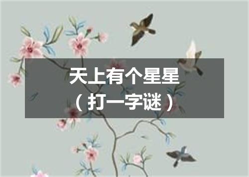天上有个星星（打一字谜）
