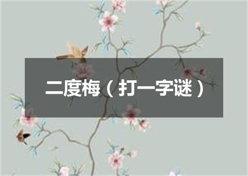 二度梅（打一字谜）