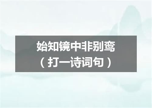 始知镜中非别鸾（打一诗词句）