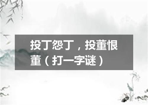 投丁怨丁，投董恨董（打一字谜）