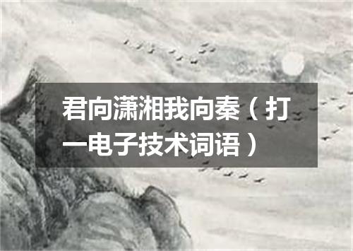 君向潇湘我向秦（打一电子技术词语）