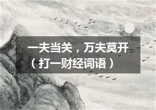 一夫当关，万夫莫开（打一财经词语）