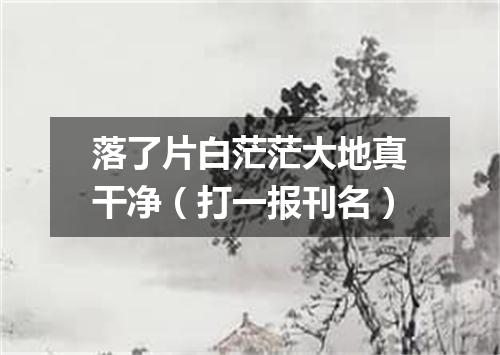 落了片白茫茫大地真干净（打一报刊名）