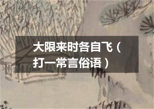 大限来时各自飞（打一常言俗语）