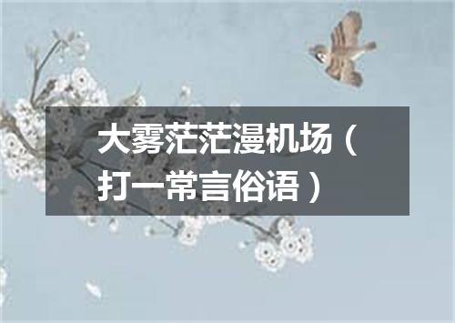 大雾茫茫漫机场（打一常言俗语）