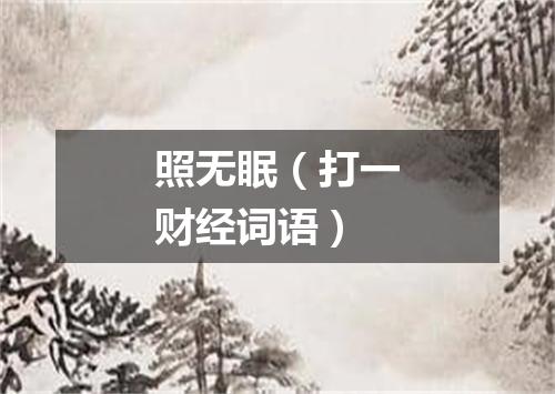 照无眠（打一财经词语）