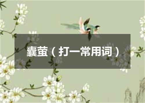 囊萤（打一常用词）