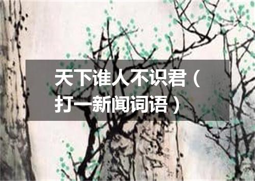 天下谁人不识君（打一新闻词语）