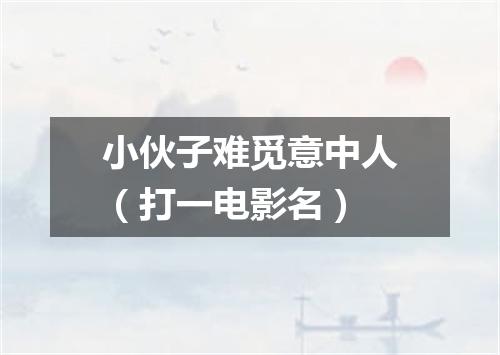 小伙子难觅意中人（打一电影名）
