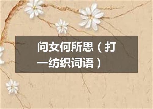 问女何所思（打一纺织词语）
