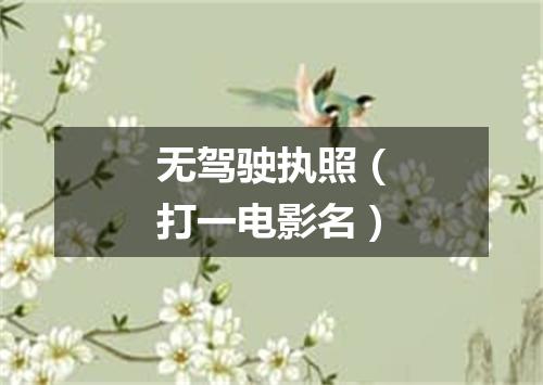 无驾驶执照（打一电影名）