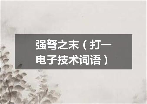 强弩之末（打一电子技术词语）