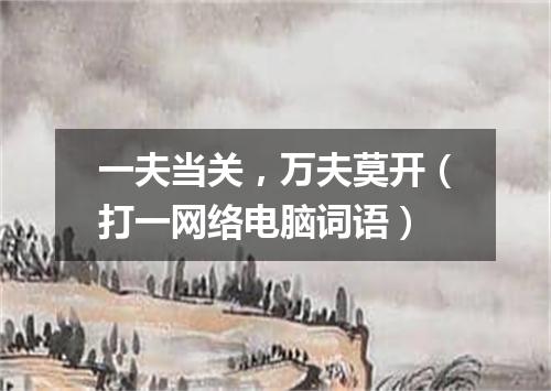 一夫当关，万夫莫开（打一网络电脑词语）
