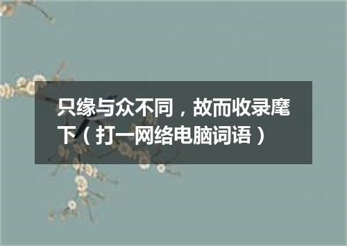 只缘与众不同，故而收录麾下（打一网络电脑词语）