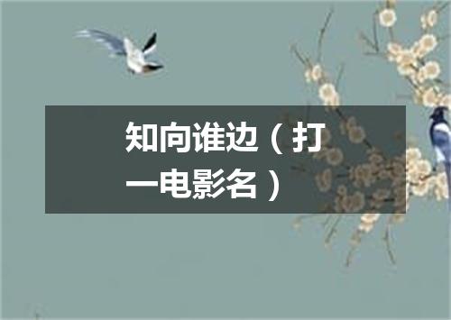 知向谁边（打一电影名）