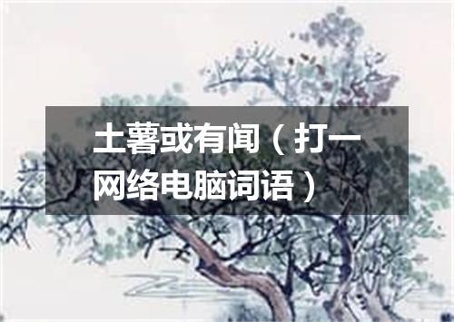 土薯或有闻（打一网络电脑词语）