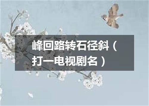 峰回路转石径斜（打一电视剧名）