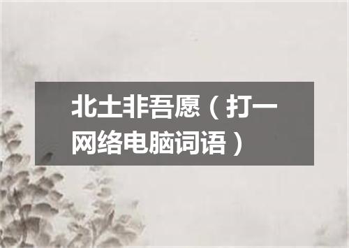 北土非吾愿（打一网络电脑词语）