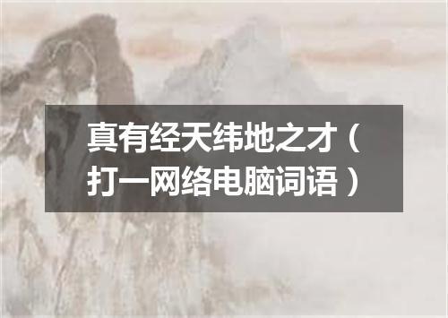 真有经天纬地之才（打一网络电脑词语）