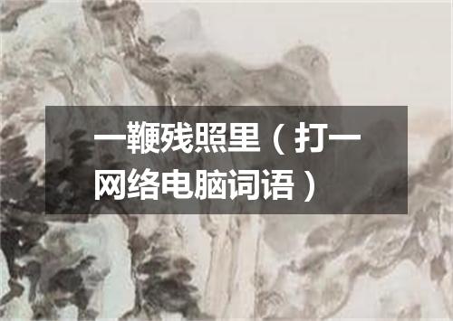 一鞭残照里（打一网络电脑词语）