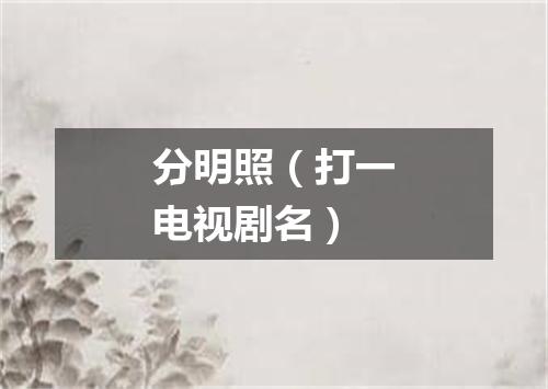 分明照（打一电视剧名）