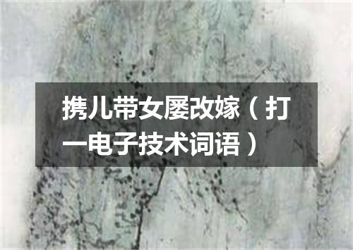 携儿带女屡改嫁（打一电子技术词语）