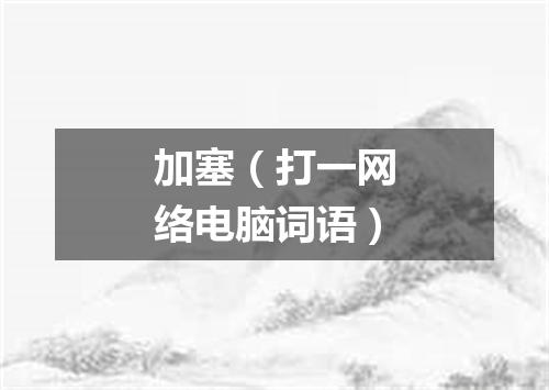 加塞（打一网络电脑词语）