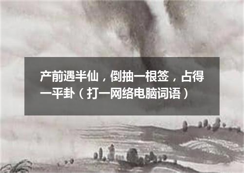 产前遇半仙，倒抽一根签，占得一平卦（打一网络电脑词语）