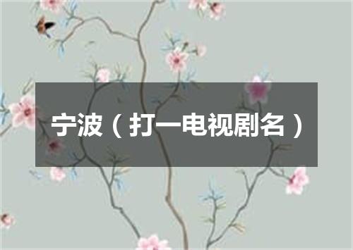 宁波（打一电视剧名）